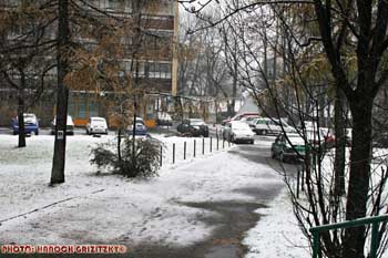 IMG_ (11397)